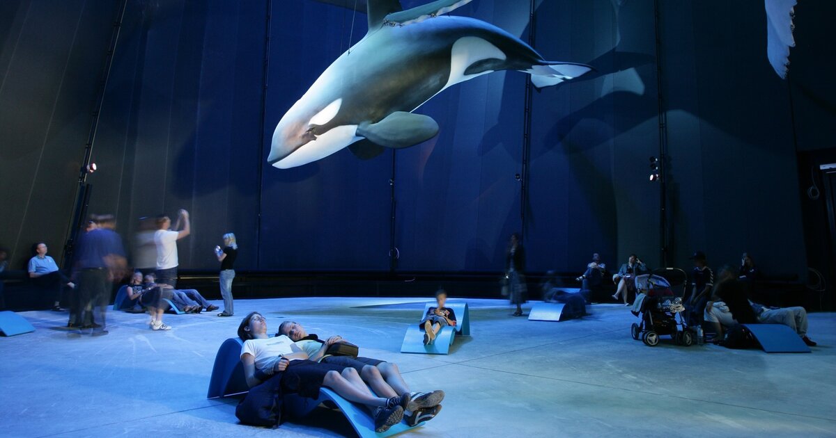 In 80 Minuten durch das Ozeaneum Klasse unterwegs