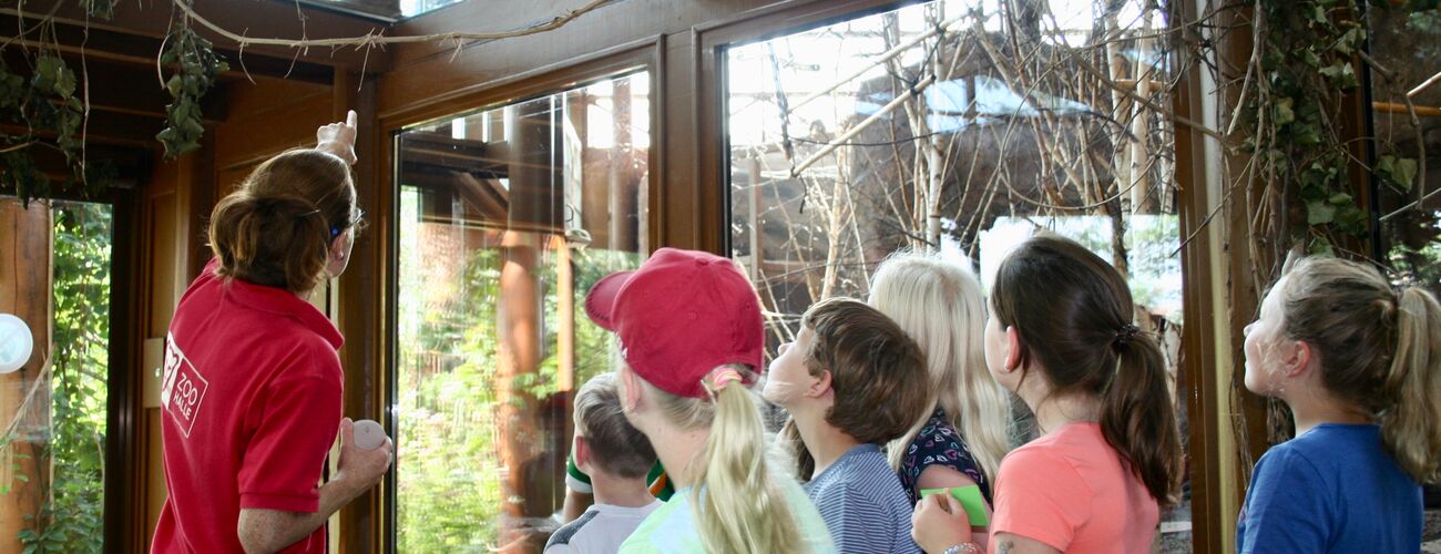 Foto - Spielerischer Zoorundgang