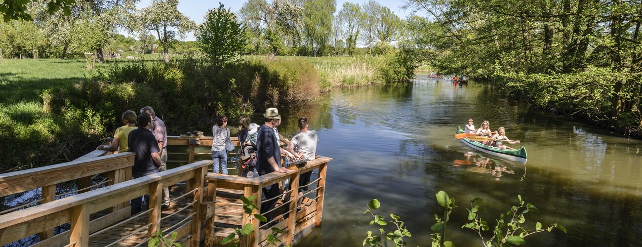 Eintauchen in die Welt der Wasserläufer | © BUND-Besucherzentrum Burg Lenzen