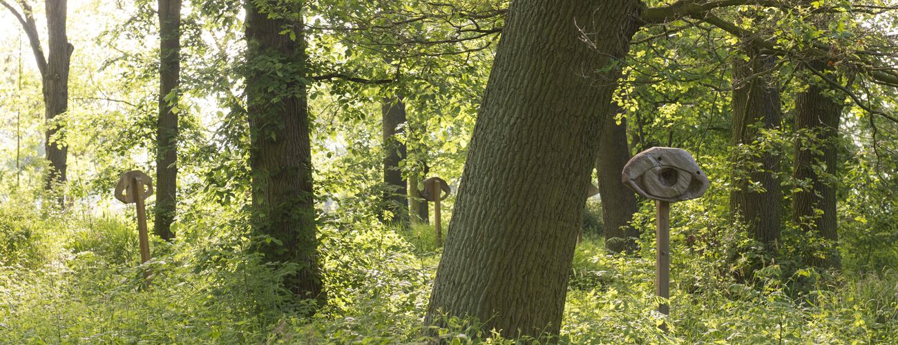 20150505_Dieter_Damschen_Park_NPG (36)