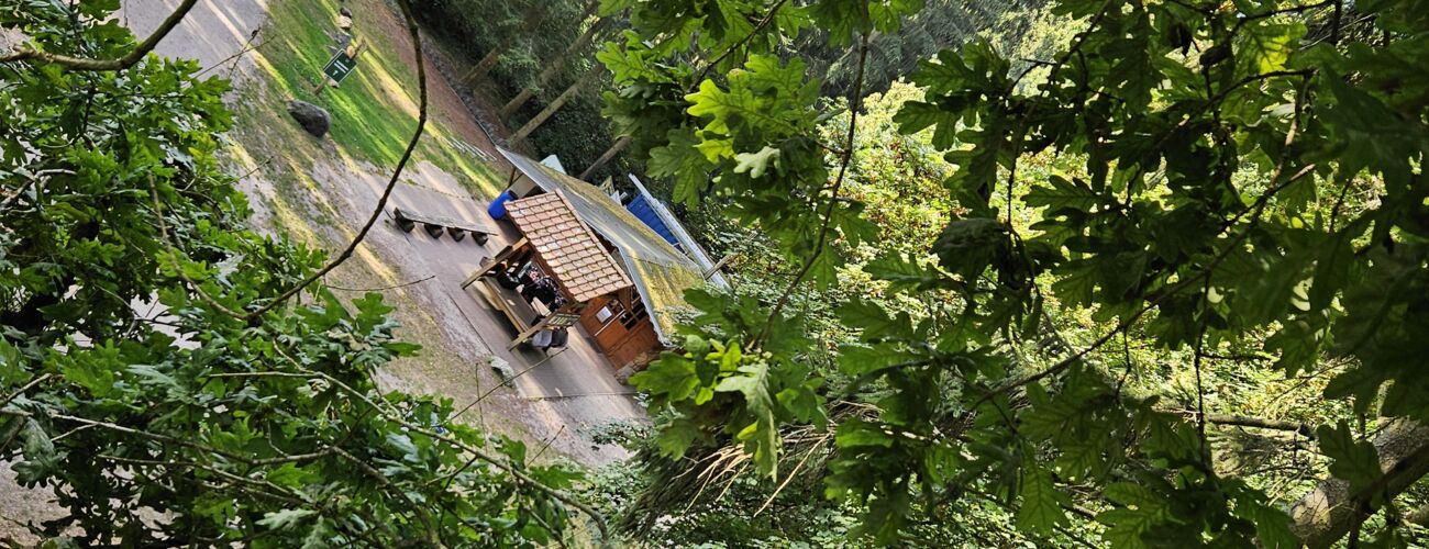 Kletterwald Usedom