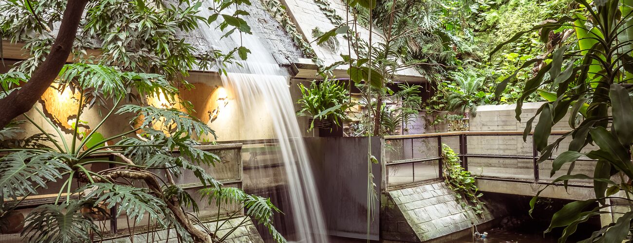 Biosphäre Potsdam, Wasserfall