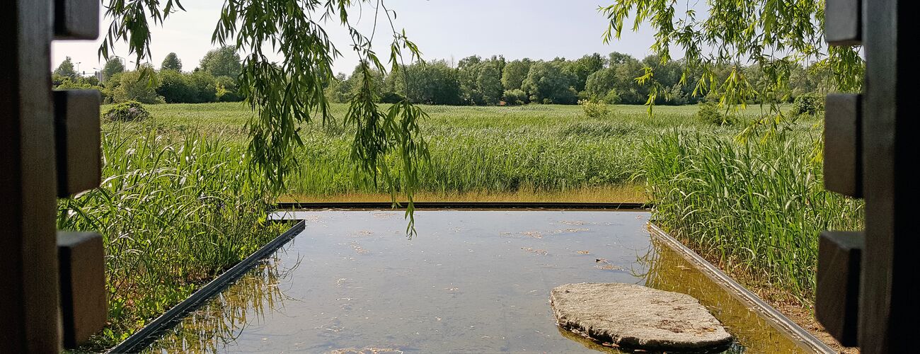 GPS-Schnitzeljagd, Fernsehgarten, Blick auf LSG Klostergrabenniederung