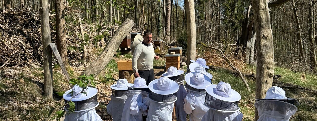 Eine Entdeckungsreise zu unseren Tiergarten-Bienen
