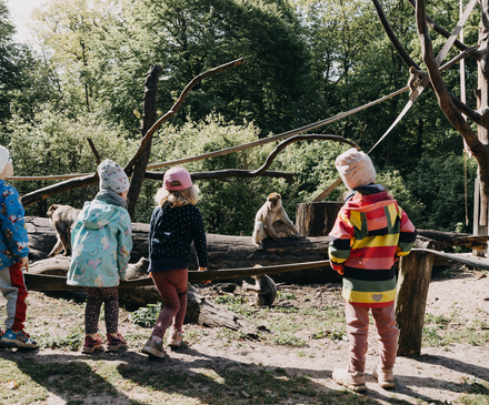 Tiergarten Neustrelitz Theresa Lange Fotografie