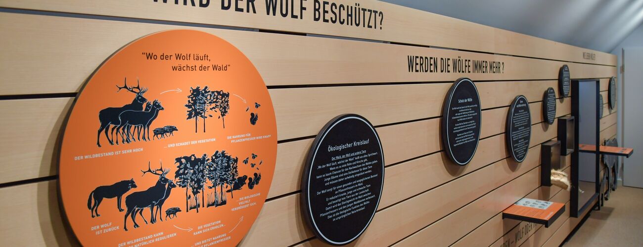 Wolfsinformationszentrum im Wildpark Schorfheide