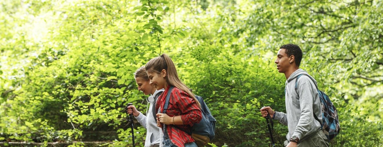 Gruppe von Freunden Wandern in der Natur.