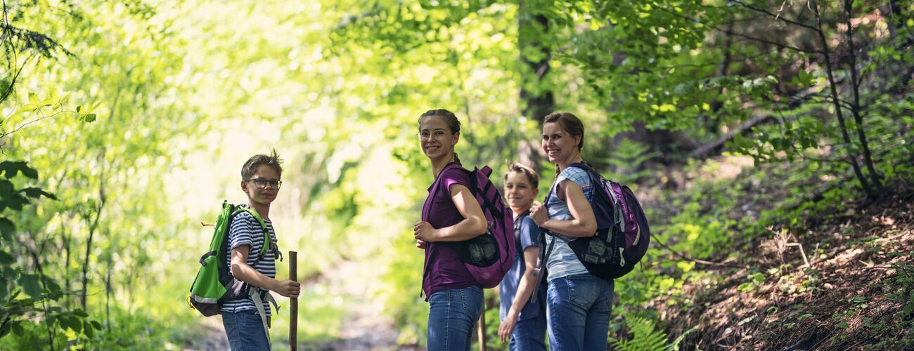 Wandern im Wald