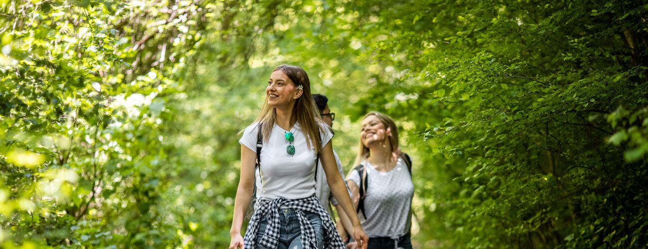 Drei Freunde zu Fuß in den sonnigen Frühlingswäldern