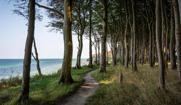 Meer, Strand, Bäume. | © Seaq68, pixabay.com