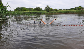 © Perrine Chancerel, Grundschule am Schäfersee